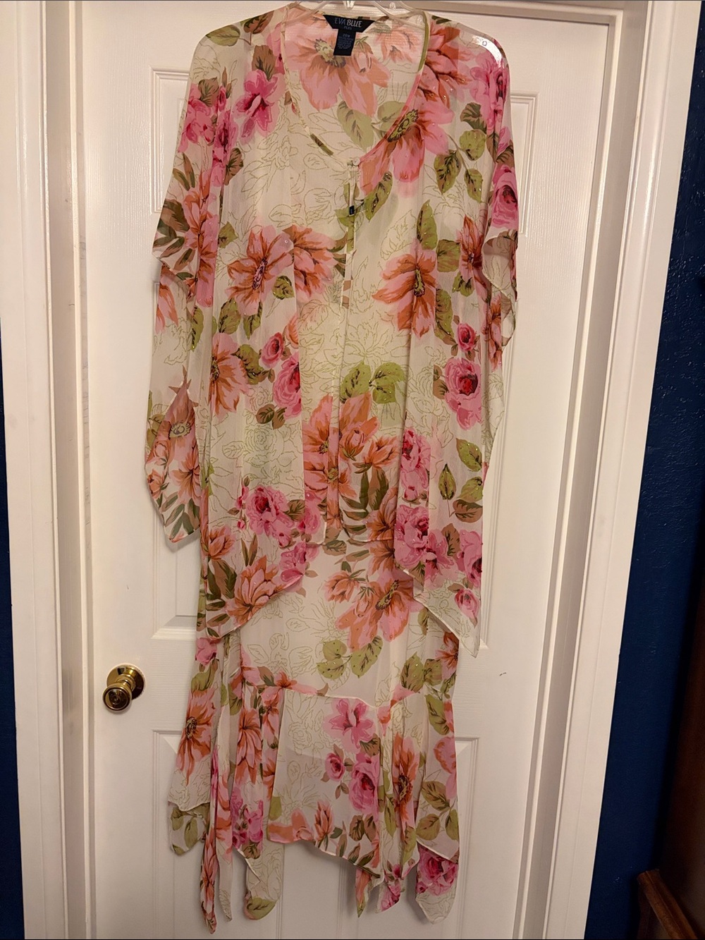 EvaBlue Pink and Peach Floral Chiffon Dress